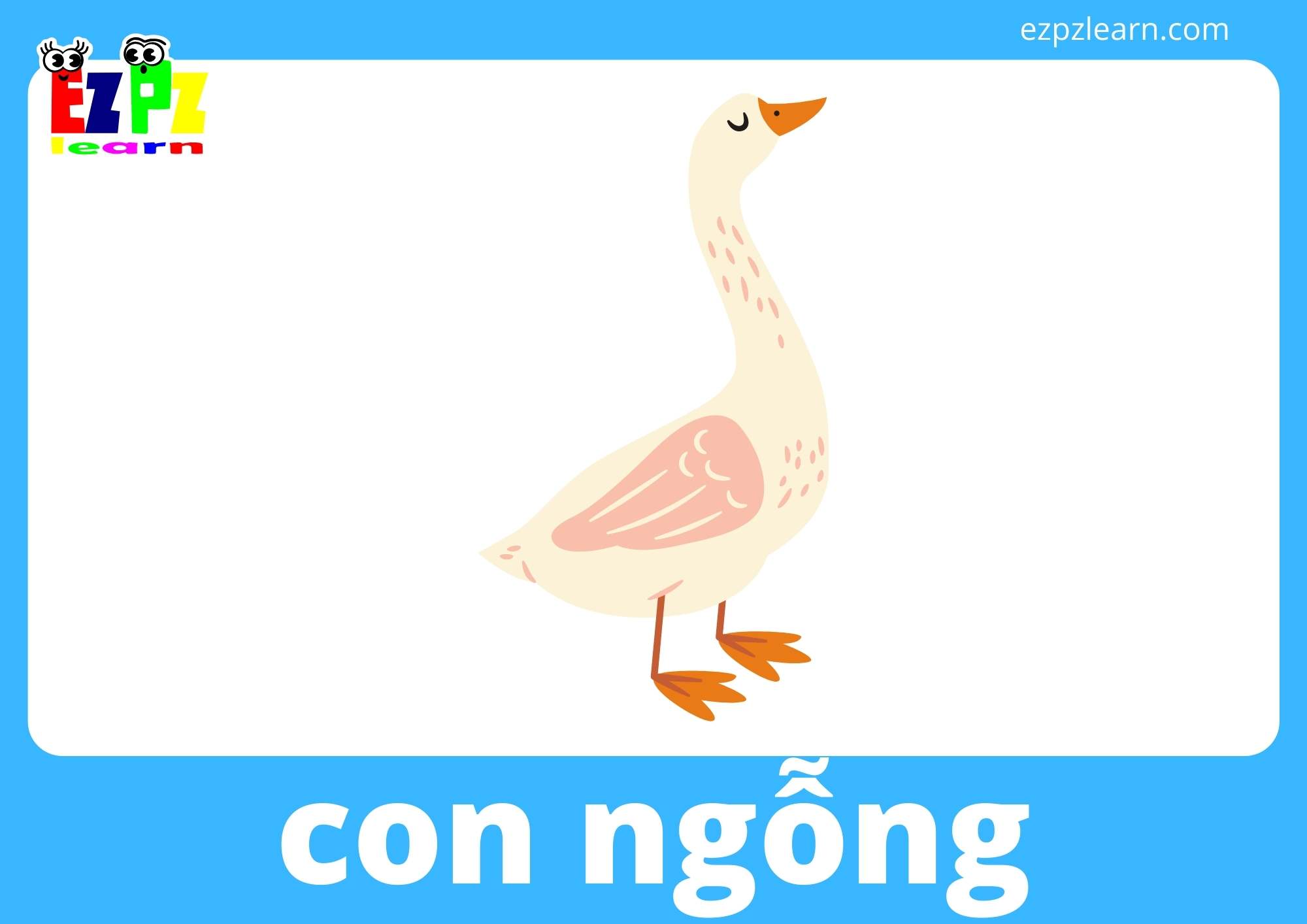 con ngỗng